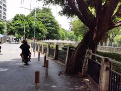 -晓港公园