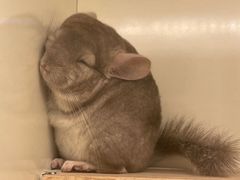 -龙猫仔乐园(惠福东路店)