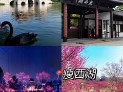 -陈记菜馆·非遗淮扬菜(东关街教场店)