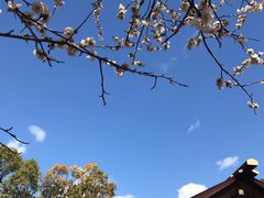 -热田神宫