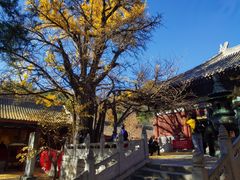 -红螺寺