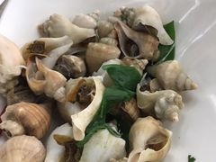 -小海丁