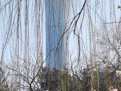 -团结湖公园