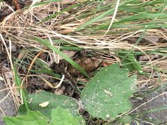 -碓臼峪自然风景区