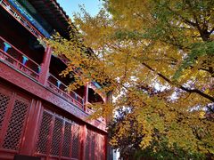 -大钟寺古钟博物馆