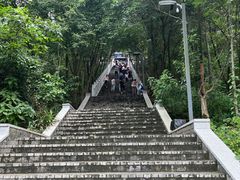 -老君山