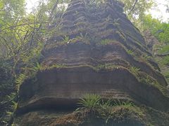 -梭布垭石林景区