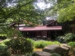 -中国茶叶博物馆(双峰馆区)