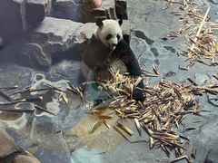 -济南野生动物世界