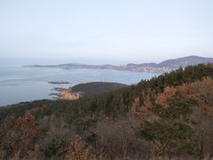 -山东大学(威海校区)