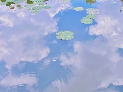 -烈士陵园(地铁站)
