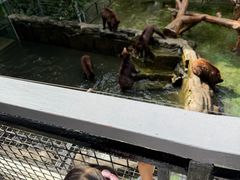 -深圳野生动物园