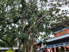-艾莱克咖啡面包坊·甜心对白