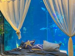 -南昌融创海世界