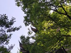 -范蠡湖公园