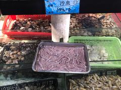 -天鹰观渔(梦园店)