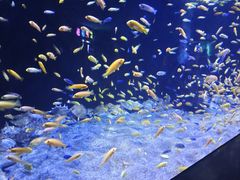 -成都浩海立方海洋公园