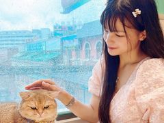 -绒爪撸猫下午茶·猫咖