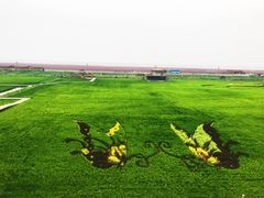 -红海滩国家风景廊道