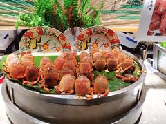 -五月罗马海鲜自助餐厅(陆家嘴店)