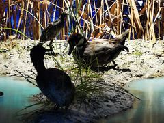 -上海长江河口科技馆