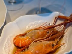 -食廬(虹桥南丰城店)