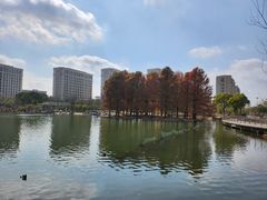 -海天湖公园