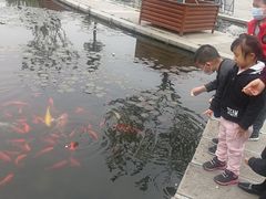-白马涧龙池景区