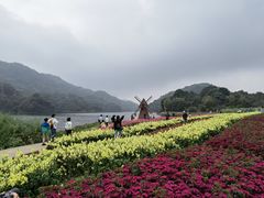 -广州市石门国家森林公园