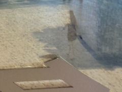 -陕西广播电视塔