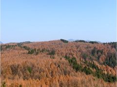 -山王坪喀斯特国家生态公园