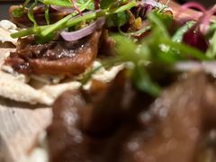 -Hi City·城市之巅