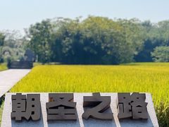 -良渚古城遗址公园
