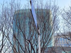 -丽思卡尔顿酒店泳池(金融街店)