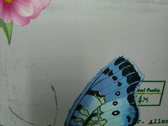 -钻石量贩KTV(花都广场店)