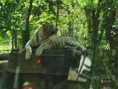 -秦皇岛野生动物园