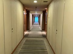 -上海浦东康桥绿地假日酒店