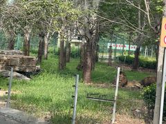 -秦皇岛野生动物园