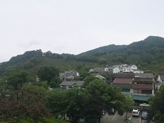 -龙井村