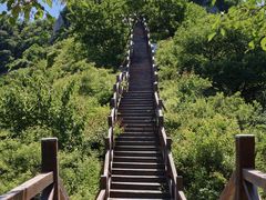 -大岭沟猕猴桃谷风景区