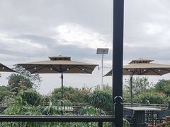 -蘇河湾·新鲁菜·泰山宴(泰山店)