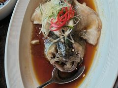 -悦百味·品质川菜(橄榄郡店)
