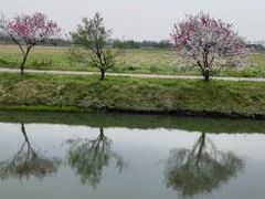 -嘉北郊野公园