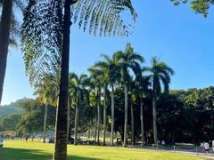 -深圳仙湖植物园