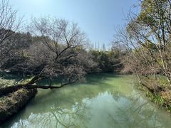 -乌村