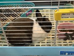 -UltraForce超源健身私教工作室(长楹天街精品店)