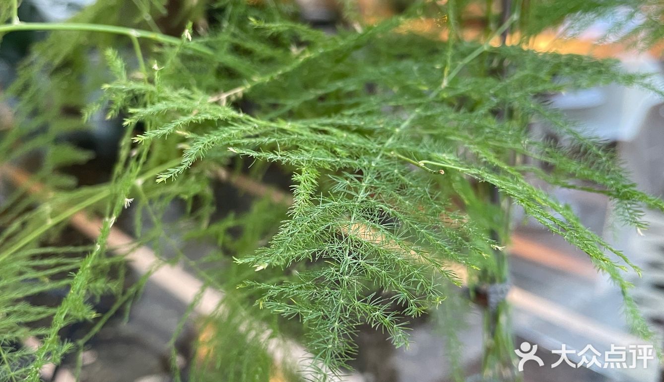 咖啡日记 | 甜蜜的印记[愉快]