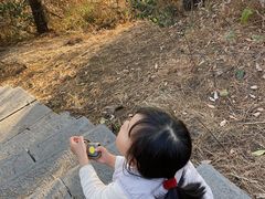 -敬亭山风景名胜区