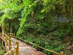 -牛背梁国家森林公园