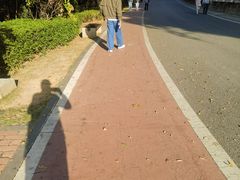 -仙岳公园